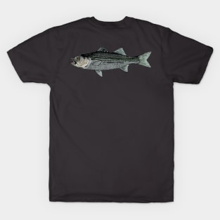 Striped bass T-Shirt